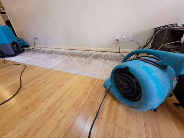 Professional Basement Flood Cleanup technician working in Riverview, MI